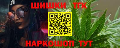 шишки Бийск