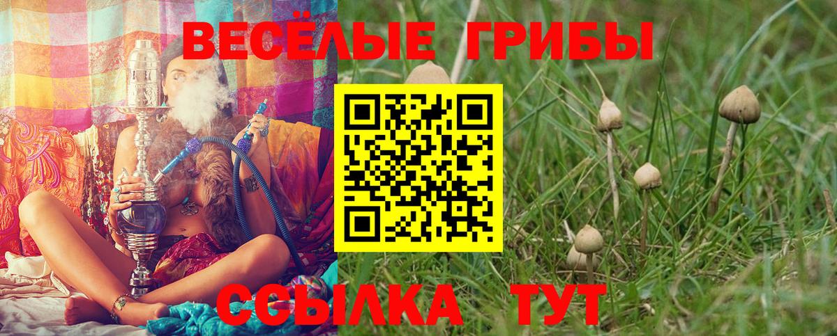 Псилоцибиновые грибы мухоморы  Великий Новгород 