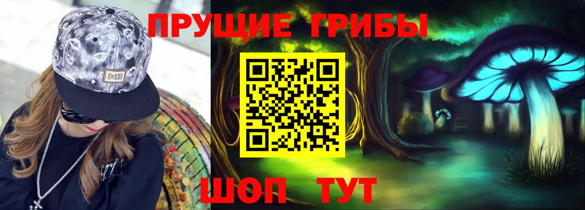 Псилоцибиновые грибы GOLDEN TEACHER Великий Новгород