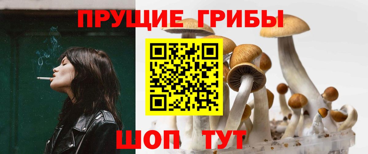 Галлюциногенные грибы мухоморы Великий Новгород