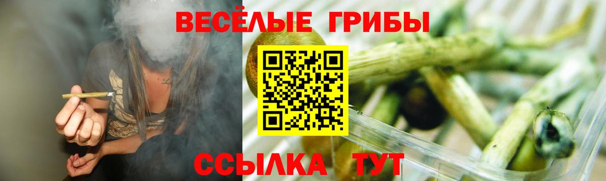 Великий Новгород  Галлюциногенные грибы Psilocybine cubensis  Вход с VPN  Галлюциногенные грибы Cubensis 